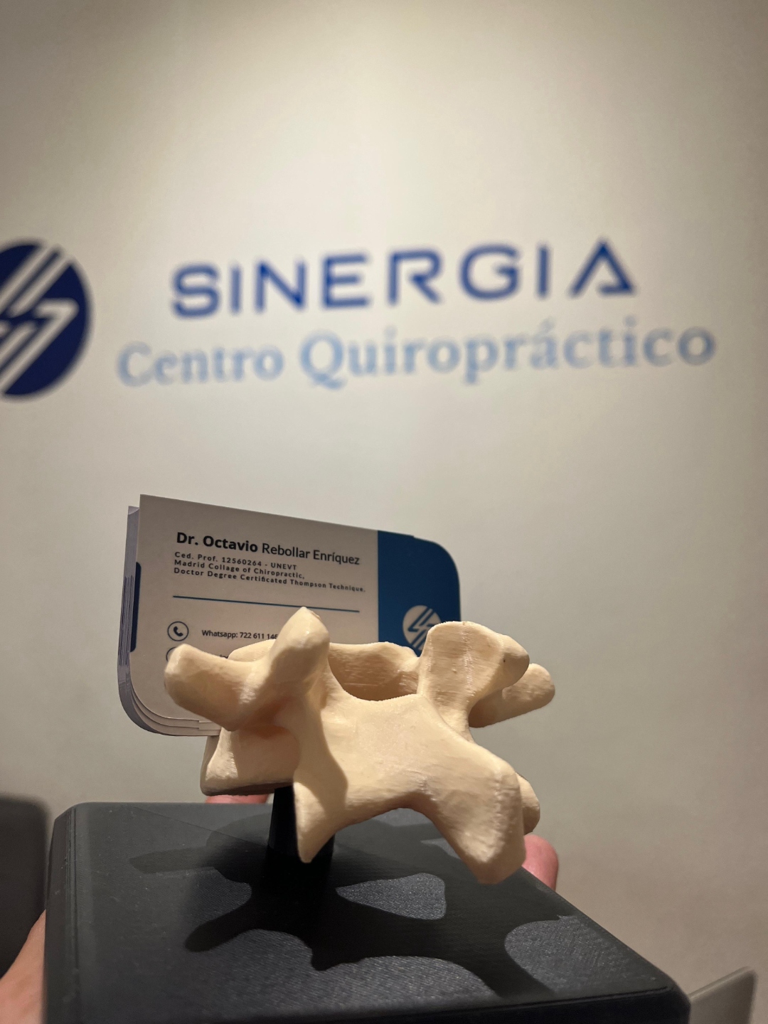 Modelo de vértebra junto a tarjeta de presentación de Sinergia